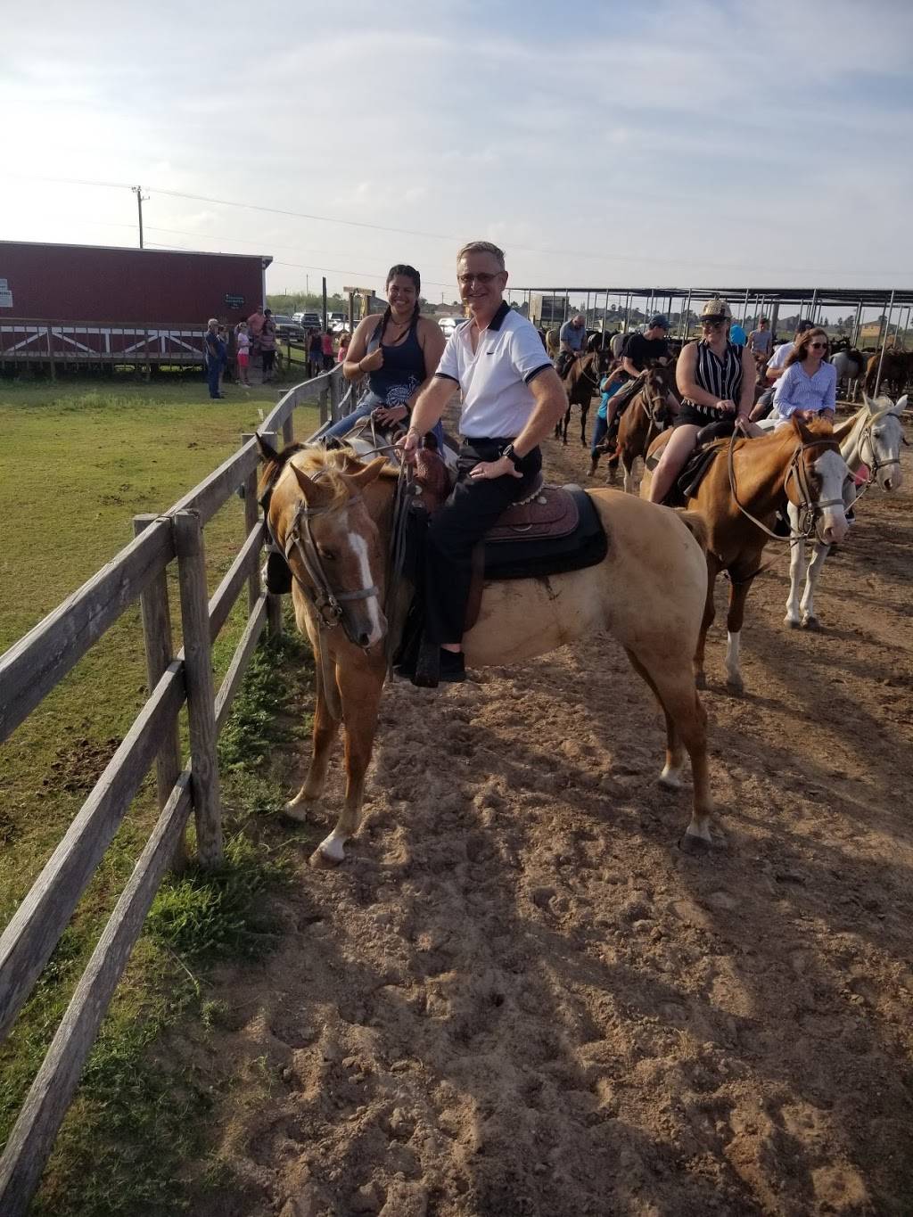 Horses on the Beach | 16562 S Padre Island Dr, Corpus Christi, TX 78418, USA | Phone: (361) 949-4944