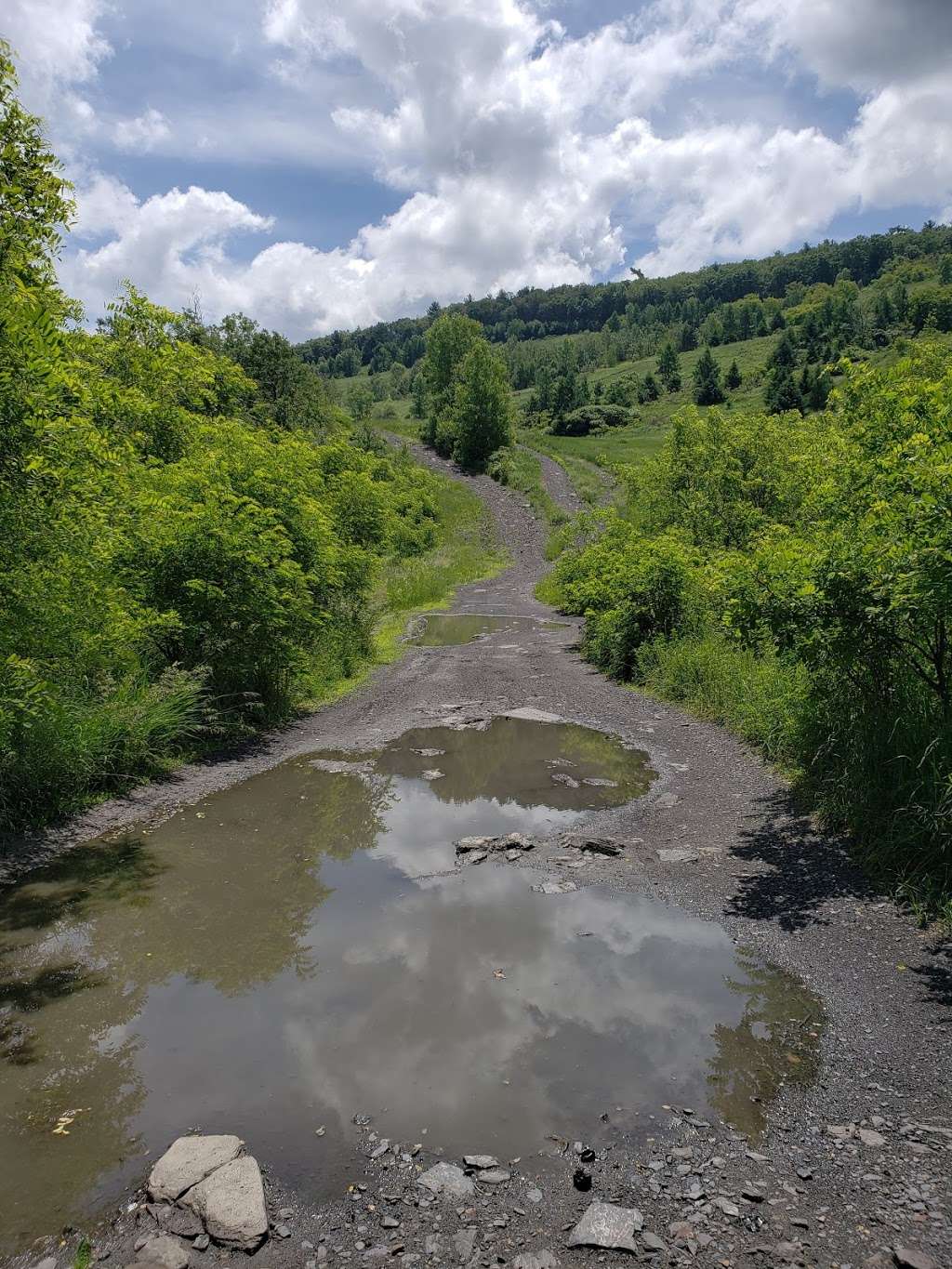 Penobscot Ridge Mountain Bike Trail | Penobscot Ridge Mountain Bike Trail, Nanticoke, PA 18634, USA