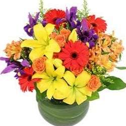 The Flower Petaler | 11525 S Penrose St, Olathe, KS 66061 | Phone: (913) 764-8448