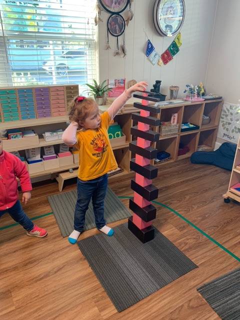 Early Steps Montessori Academy | 10701 Anderson Rd, Tampa, FL 33624, USA | Phone: (813) 961-7636