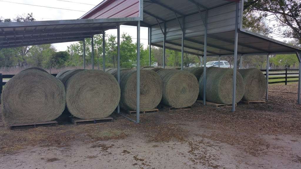 High Ridge Farm & Ranch Supply, LLC | 16575 SE Hwy 42, Weirsdale, FL 32195, USA | Phone: (352) 821-3333