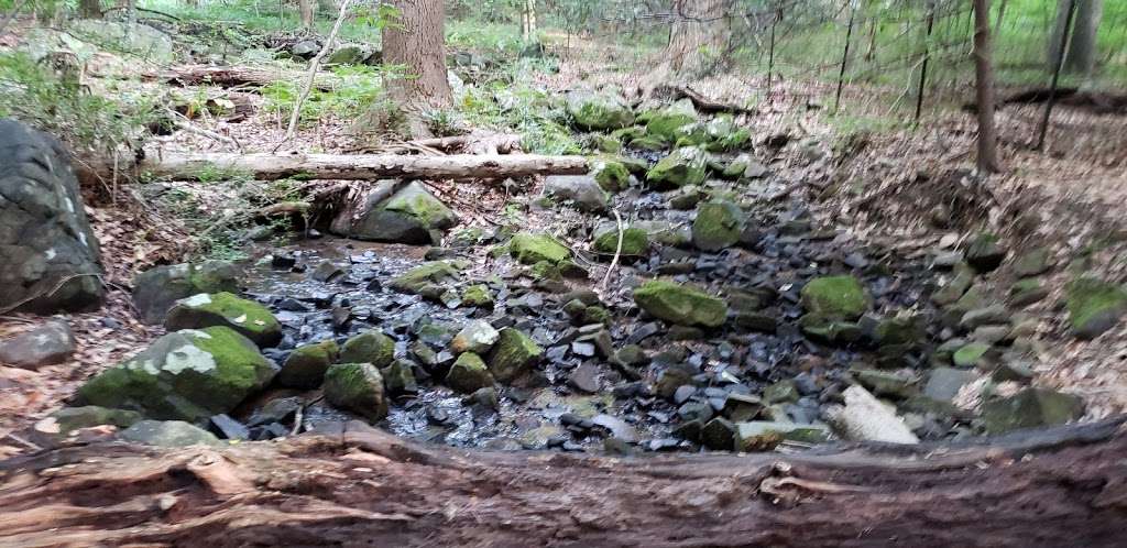 Robert B. Gordon Natural Area for Environmental Studies | Stadium Rd, West Chester, PA 19382