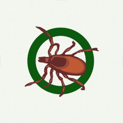 A-Altair Termite & Pest Control, Inc | 119 Oak St, Waterford Works, NJ 08089, USA | Phone: (856) 768-9263