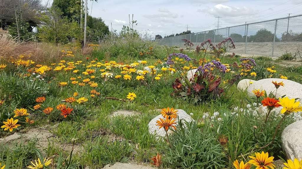 West San Gabriel River Parkway Nature Trail @ Candlewood St | 5298 Knoxville Ave, Lakewood, CA 90713, USA