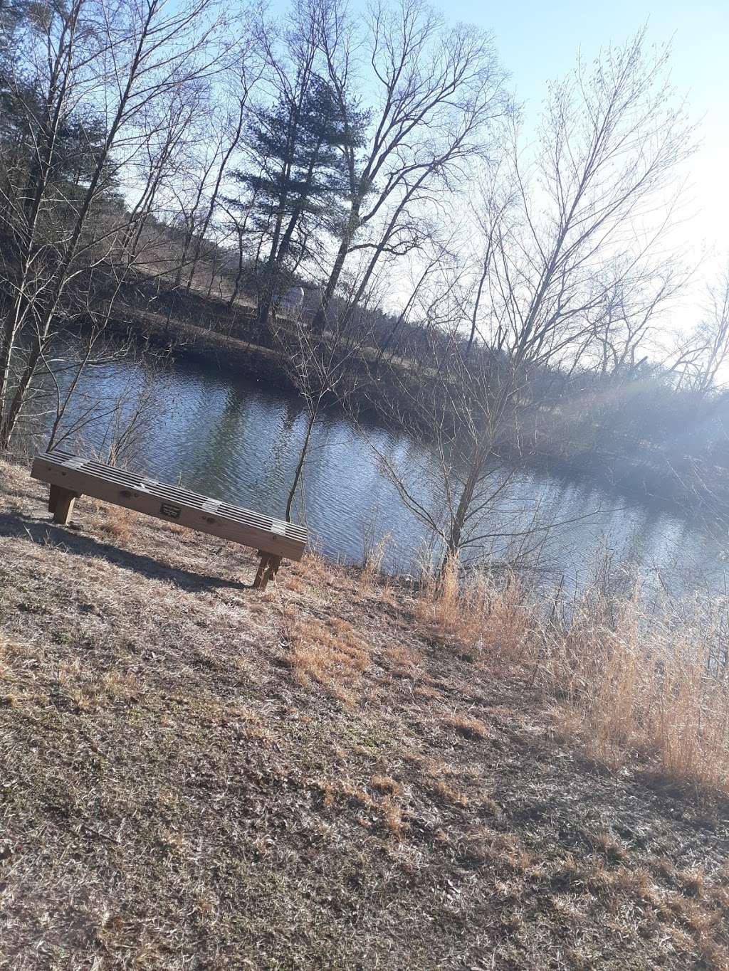 Bolich Wetland Project And Senator James J. Rhodes Nature Trail | 71 Bolich Rd, Ashland, PA 17921, USA