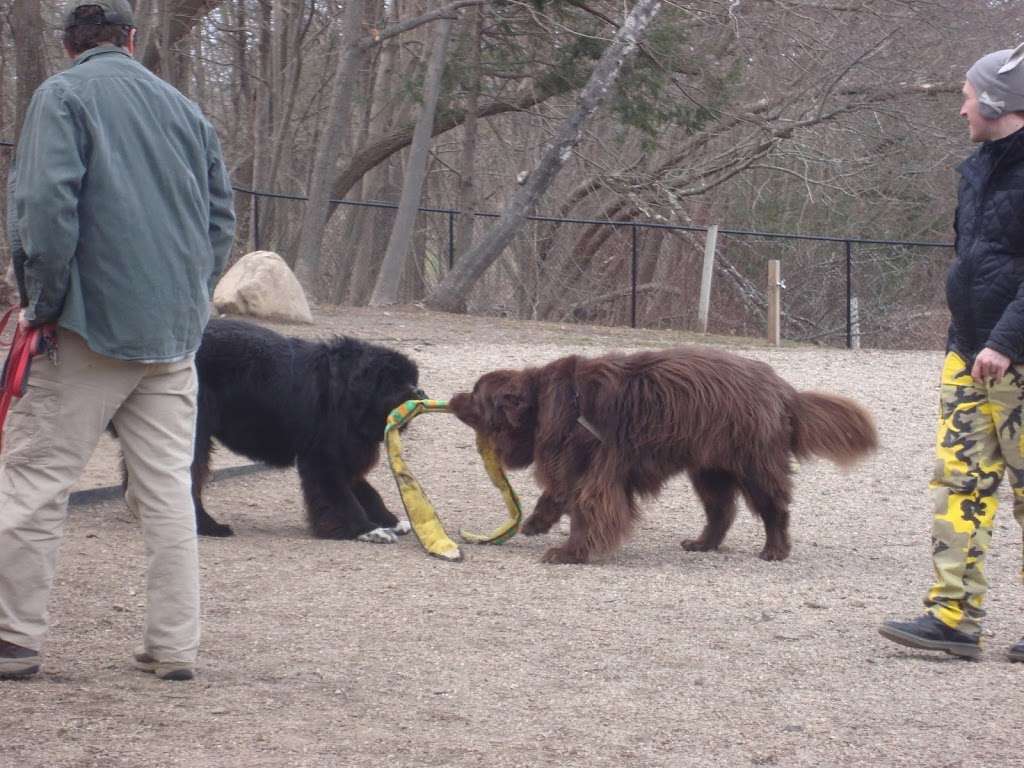 Danvers Dog Park | 29 Ingersoll St, Danvers, MA 01923