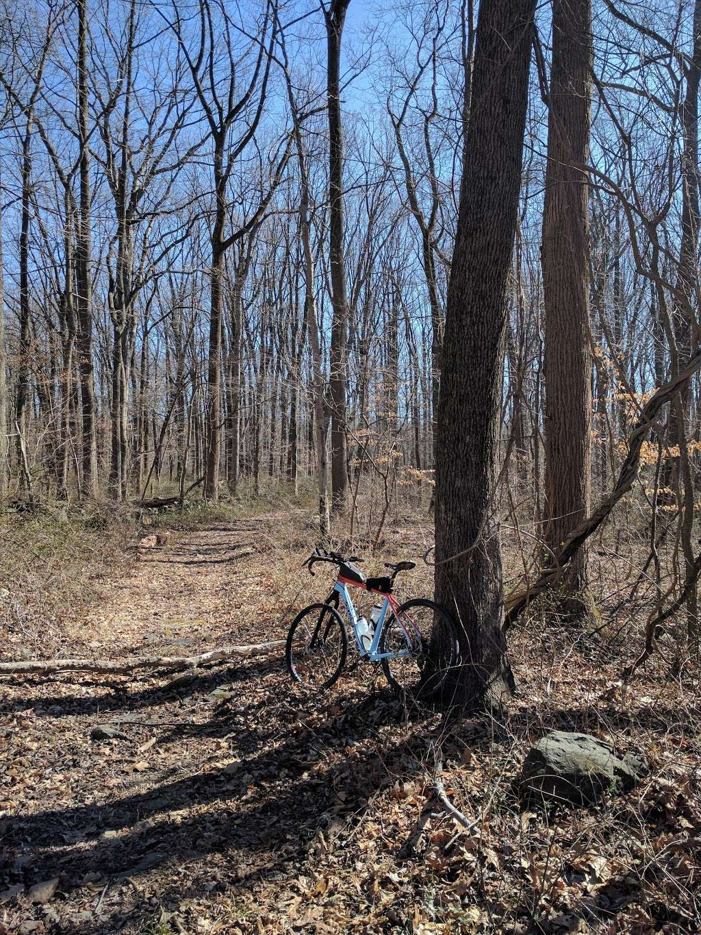 Stoney Demonstration State Forest | Aberdeen, MD 21001, USA