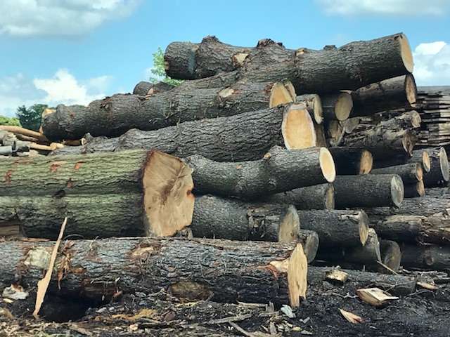 Heacock Lumber | 6395 Easton Rd, Plumsteadville, PA 18949, USA | Phone: (215) 766-8831