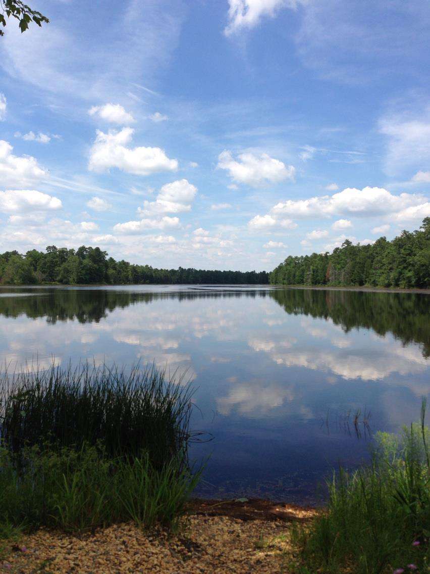 Batsto River | Washington Turnpike, Hammonton, NJ 08037