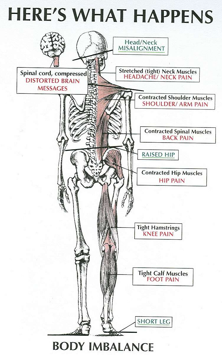 New England Spinal Care | 106 Access Rd #7, Norwood, MA 02062 | Phone: (781) 255-5565