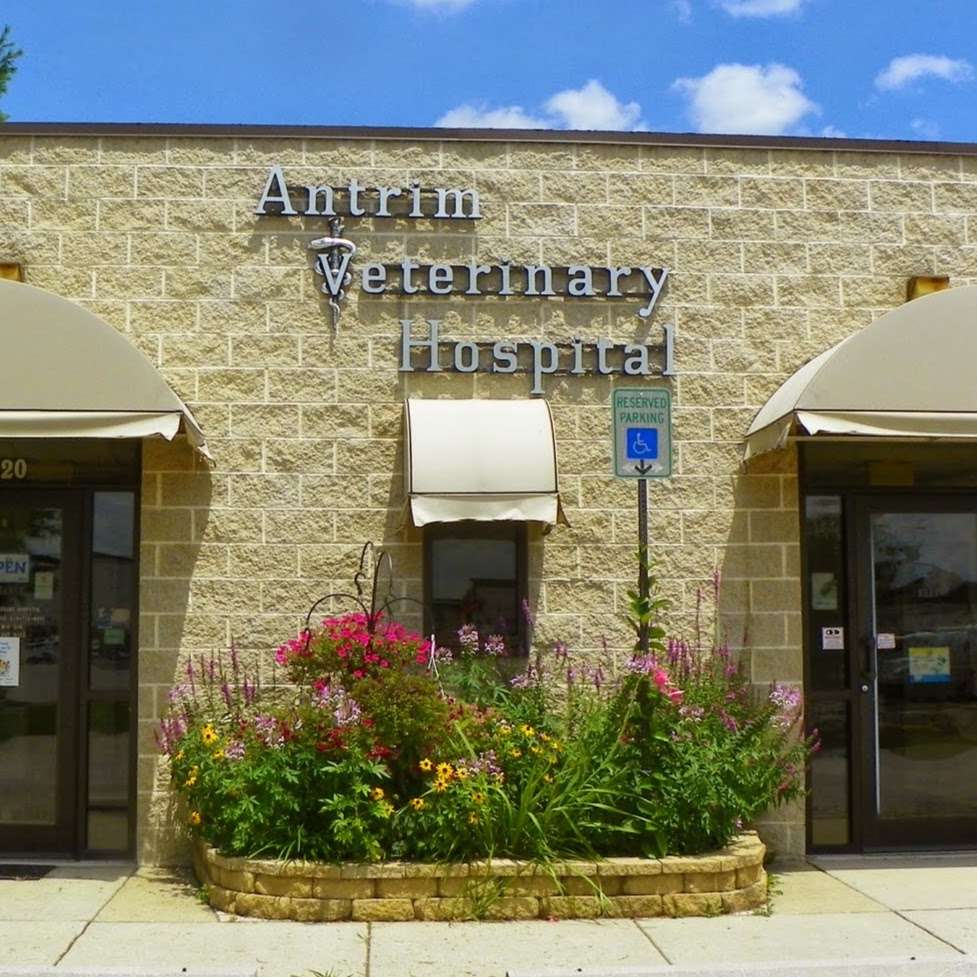 Antrim Veterinary Hospital, LLC | 520 E Baltimore St # 200, Taneytown, MD 21787 | Phone: (410) 751-0091