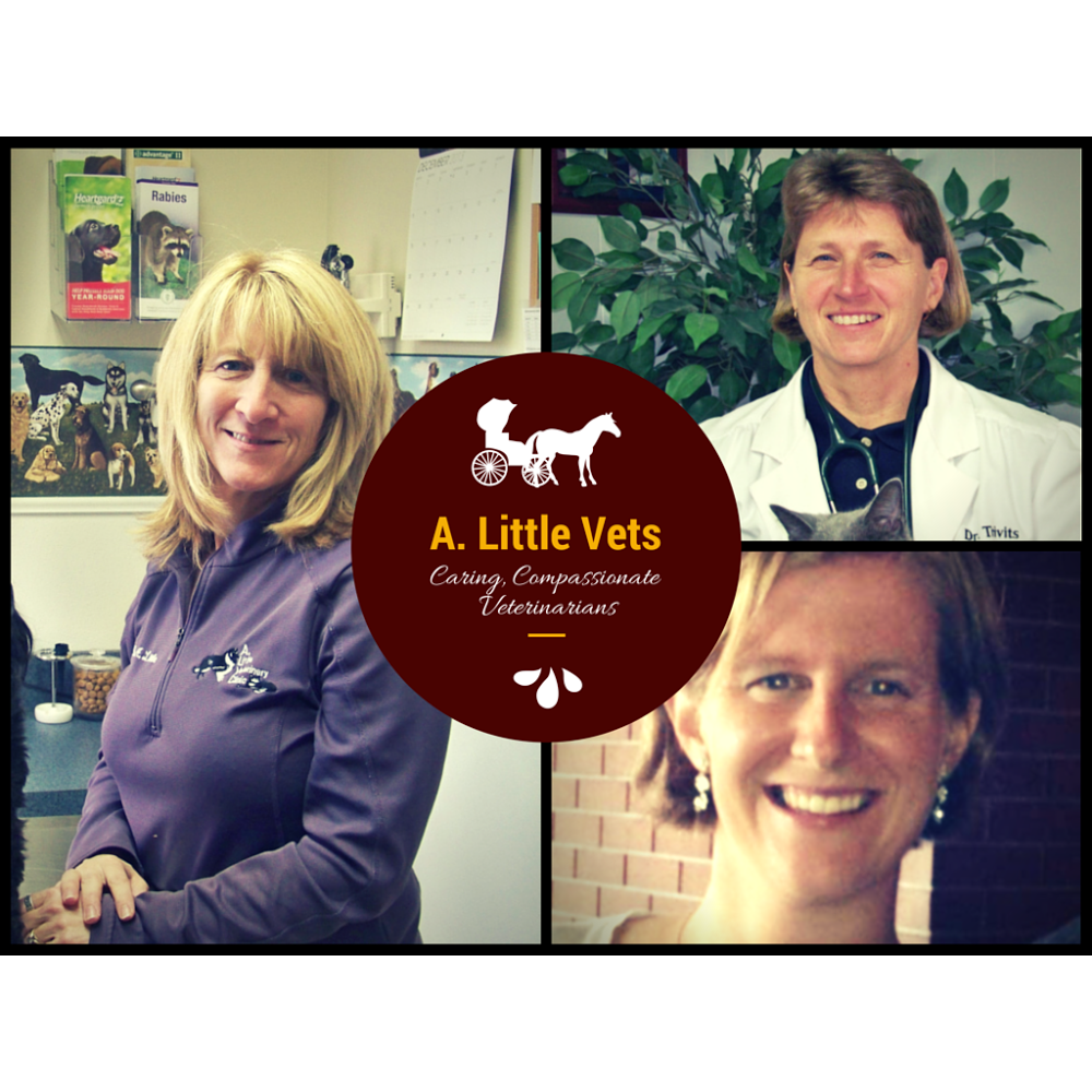 A. Little Veterinary Clinic | 6902 Milford Harrington Hwy, Harrington, DE 19952 | Phone: (302) 398-3367