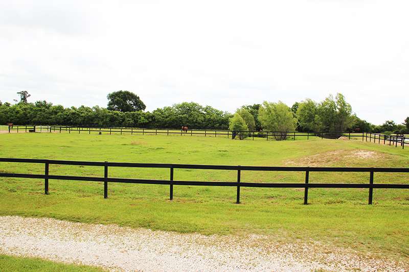 Southern Star Farms | 35056 Wilson Rd, Brookshire, TX 77423, USA | Phone: (281) 435-3929