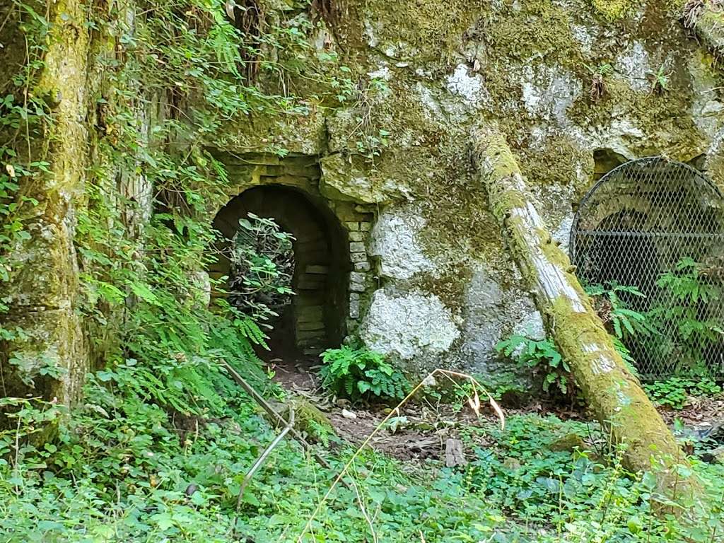 Old Lime Kiln Ruins | Fall Creek Trail, Felton, CA 95018, USA
