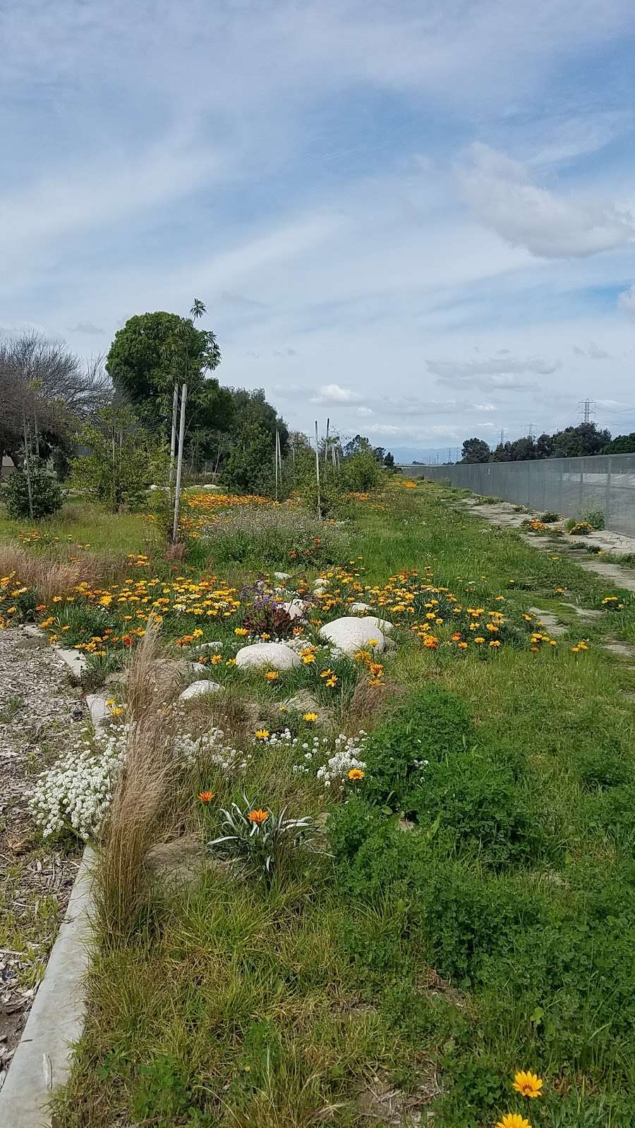 West San Gabriel River Parkway Nature Trail @ Candlewood St | 5298 Knoxville Ave, Lakewood, CA 90713, USA