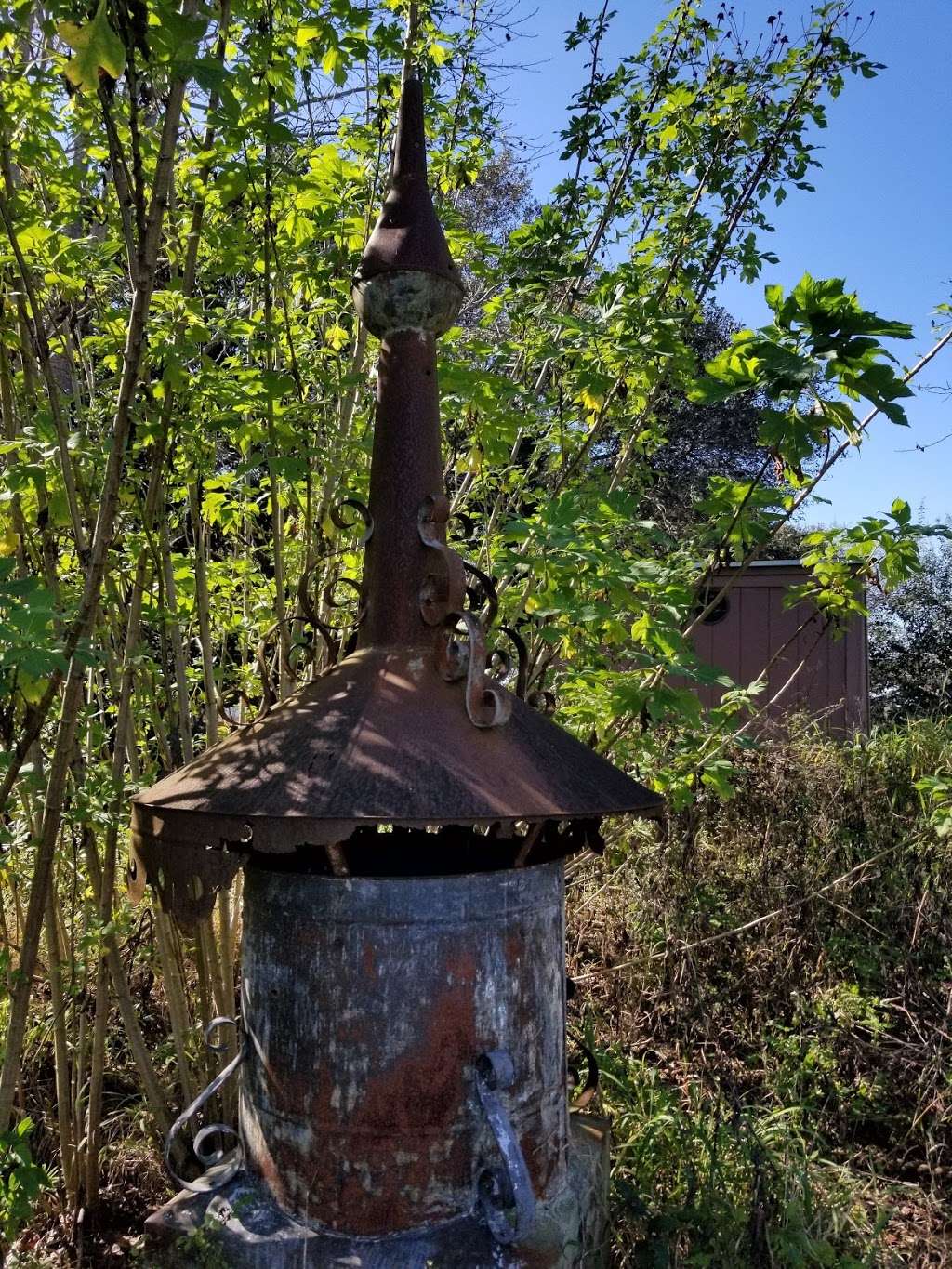 Florida Scrub-Jay Trail | 11490 Montevista Rd, Clermont, FL 34711, USA | Phone: (352) 429-5566