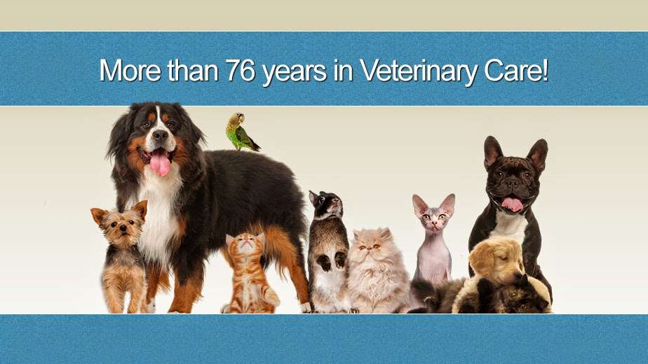 Collingswood Veterinary Hospital | 40 White Horse Pike, Collingswood, NJ 08107, USA | Phone: (856) 858-0551