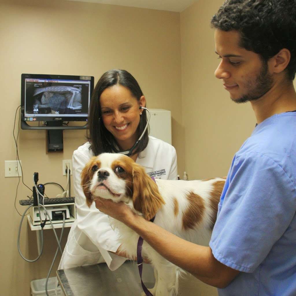 Middlehope Veterinary Hospital | 5349 US-9W, Newburgh, NY 12550, USA | Phone: (845) 562-7861