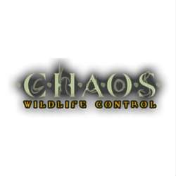 Chaos Wildlife/Animal Removal and Pest Control | 515 Decatur Ave, Peekskill, NY 10566, USA | Phone: (914) 618-5552