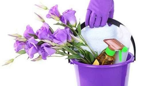 LeeLees Cleaning and Organizing Services | 2540 Tynwick Ct, North Vernon, IN 47265, USA | Phone: (812) 657-1428