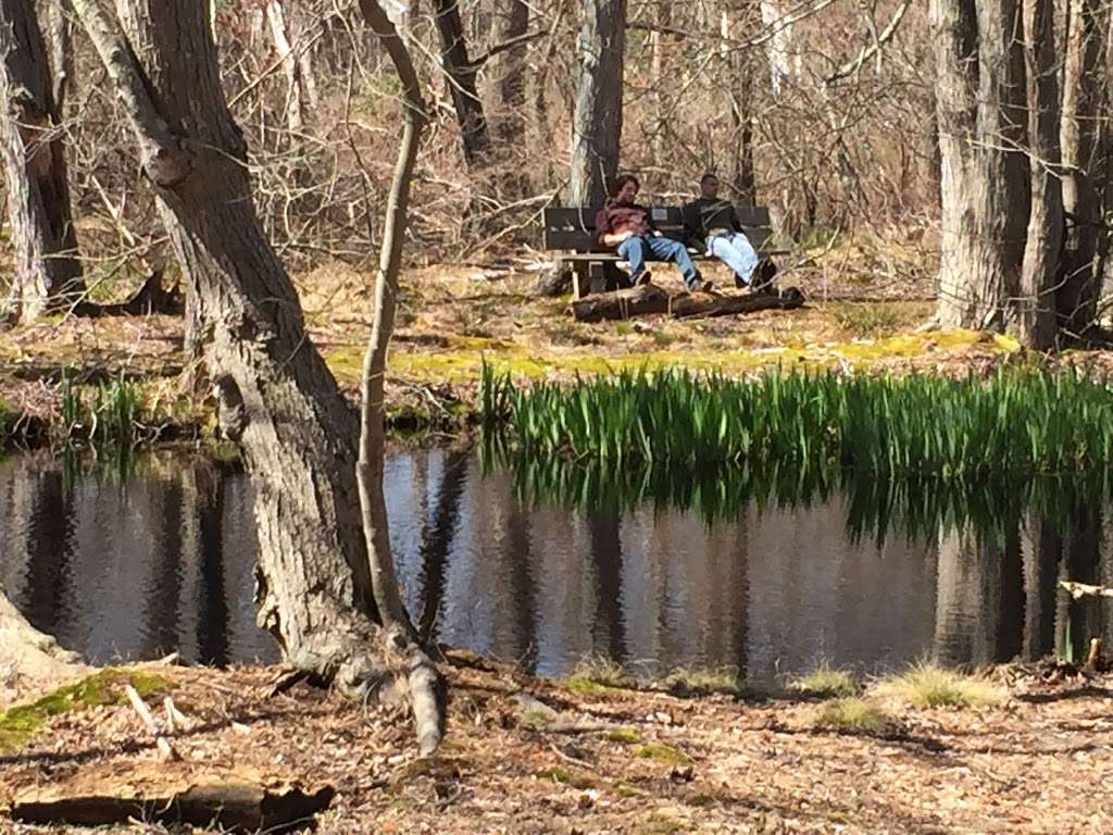 Seatuck National Wildlife Refuge | Islip, NY 11751, USA | Phone: (631) 286-0485