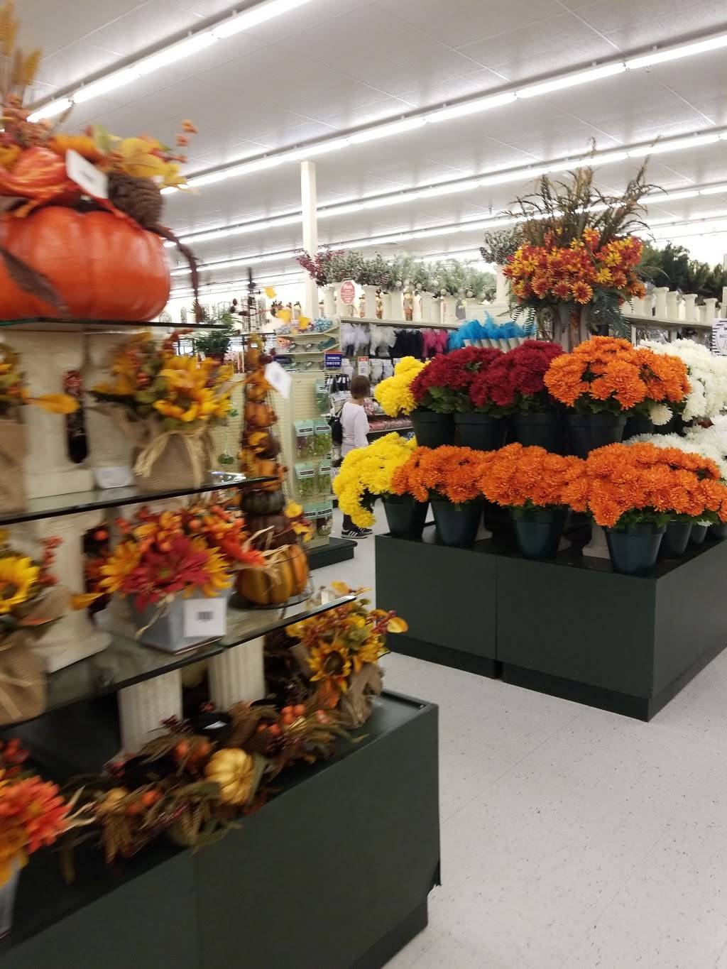 Hobby Lobby | 1835 S Greenfield Rd, Mesa, AZ 85206, USA | Phone: (480) 813-2261