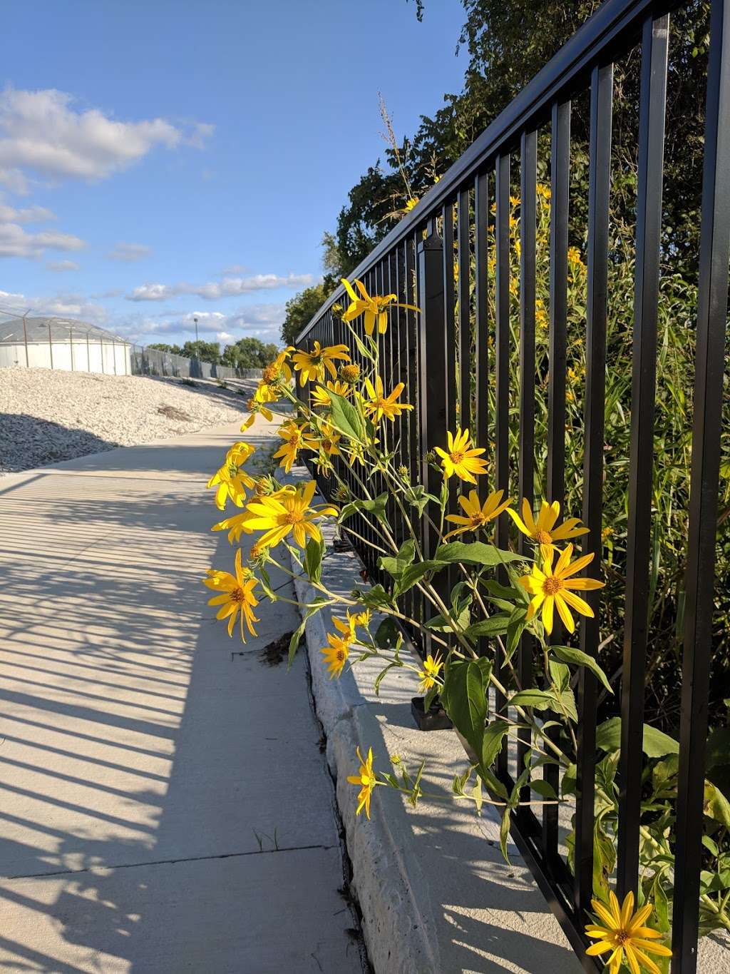 Missouri Riverfront Trail Trailhead | Riverside, MO 64150, USA