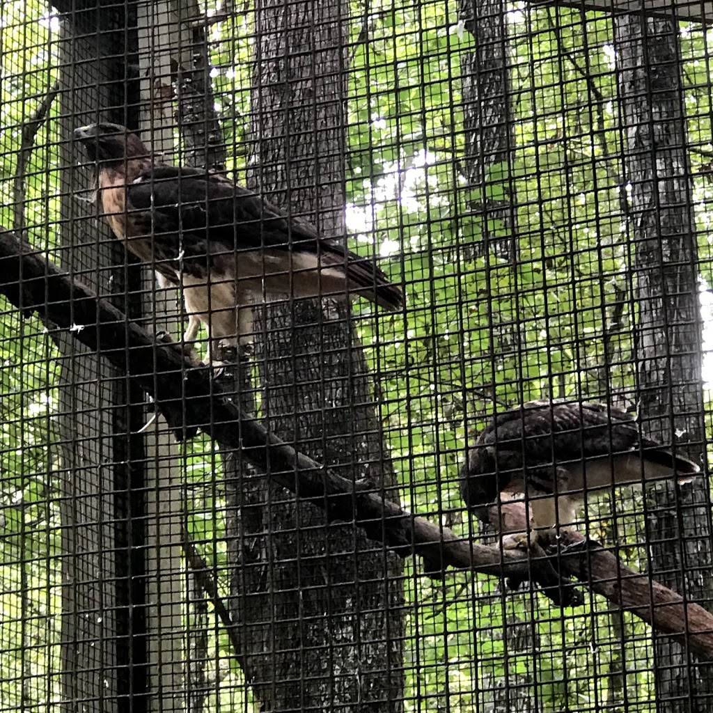 Treetop Nature Trail of Alabama Wildlife Center | Terrace Dr, Pelham, AL 35124, USA | Phone: (205) 663-7930