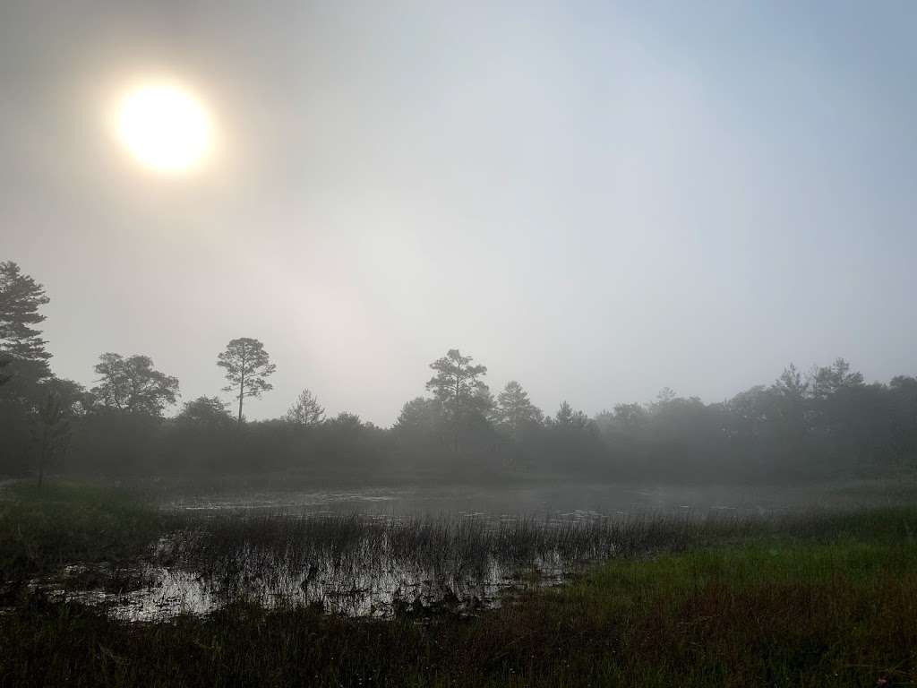 Hidden Pond | Juniper Springs Recreation Area, Florida 40, Silver Springs, FL, Astor, FL 32102, USA