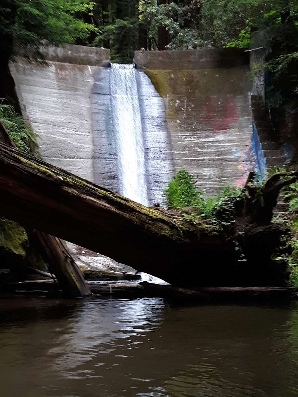 The Waterfall Spot | Prescott Rd, Soquel, CA 95073, USA