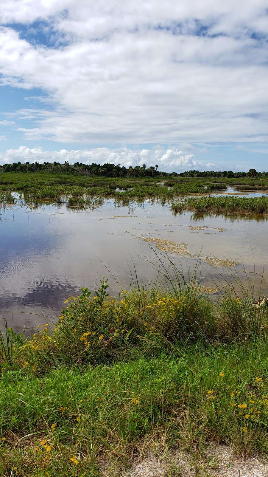 Merritt Island National Wildlife Refuge Visitor Center | 1987 Scrub Jay Way, Titusville, FL 32782, USA | Phone: (321) 861-5601