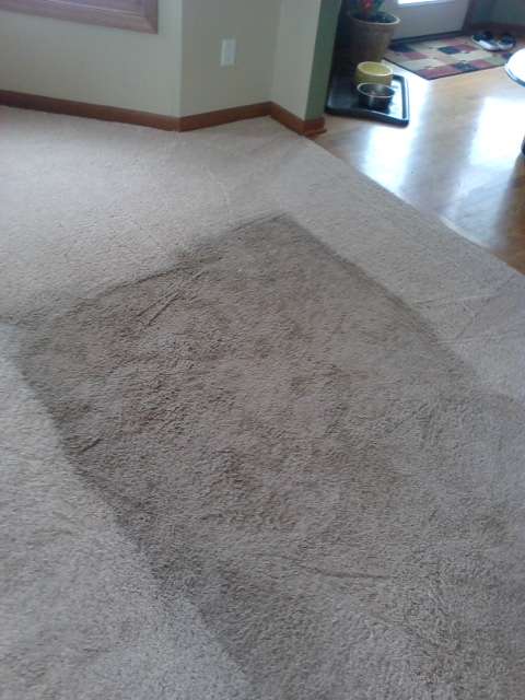 Wolf Brothers Carpet Cleaning | 39W836 Midan Dr, Elburn, IL 60119, USA | Phone: (630) 232-4424