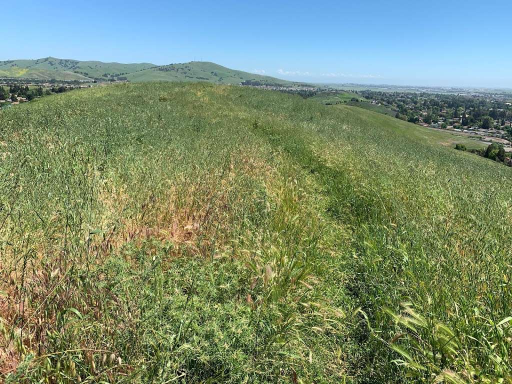 Hilbkorn Open Space Preserve Hiking Trailhead | Fairfield, CA 94534, USA