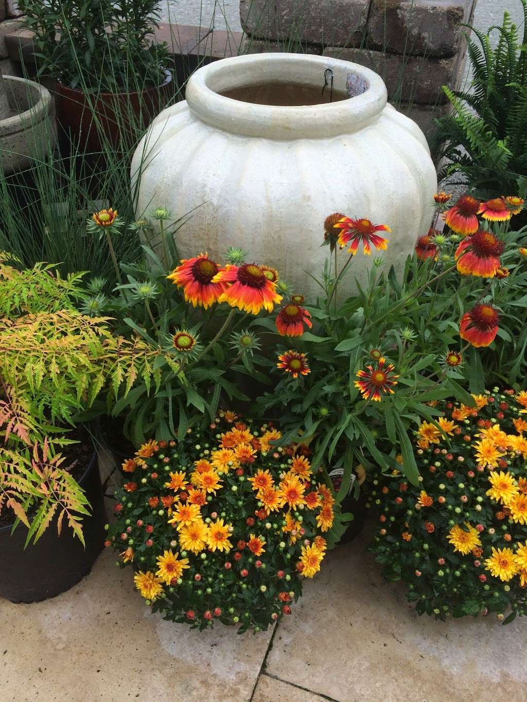 Perennials Plus | 4510 W 166th St, Westfield, IN 46074 | Phone: (317) 867-5504