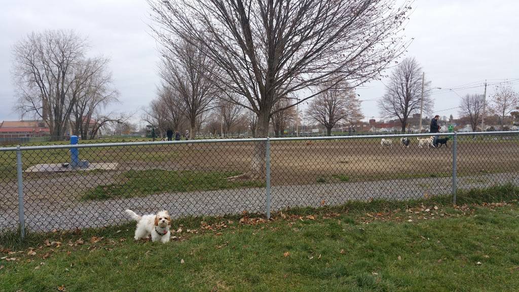 The Barkyard - Off-Leash Dog Park | D A R Dr, Buffalo, NY 14202 | Phone: (716) 218-0303