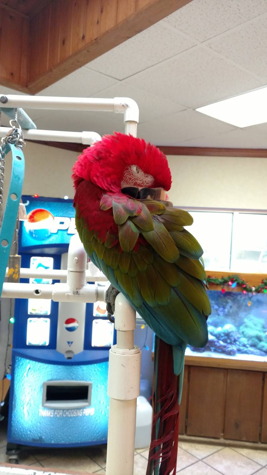 Paradise Full Service Car Wash & Detail Center | 9201 Lyndale Ave S, Minneapolis, MN 55420, USA | Phone: (952) 888-5388