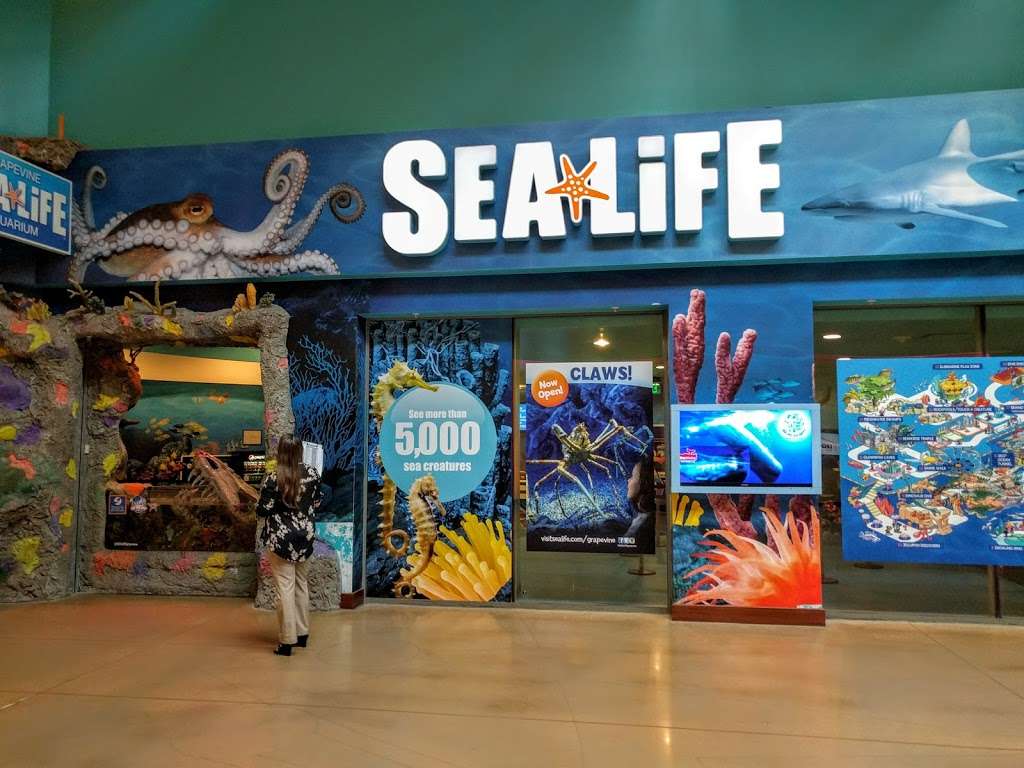 SEA LIFE Grapevine Aquarium | Mills Mall, 3000 Grapevine Mills Pkwy, Grapevine, TX 76051, USA | Phone: (469) 444-3004