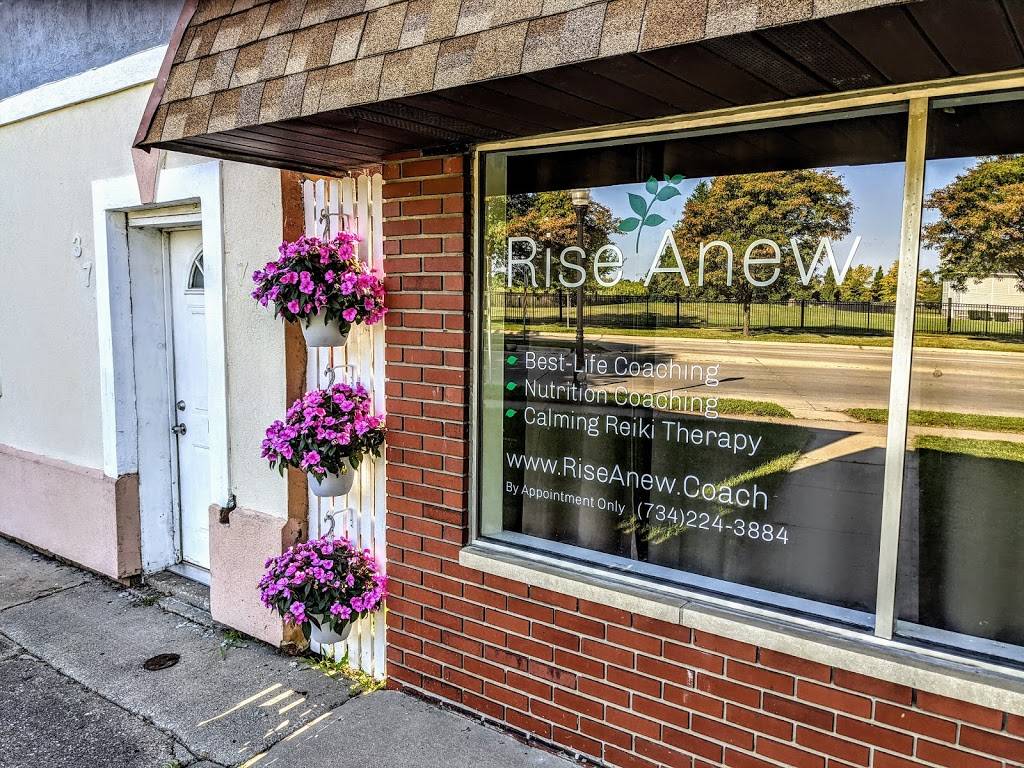 Rise Anew | 3708 3rd St, Wyandotte, MI 48192, USA | Phone: (734) 224-3884