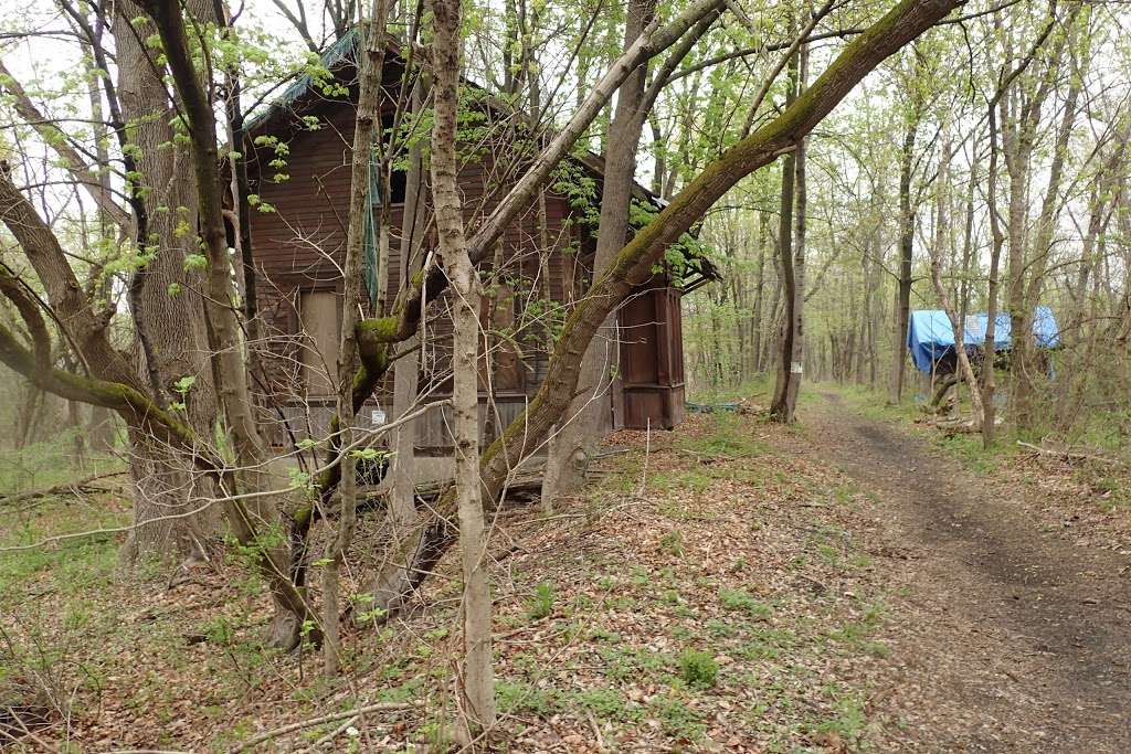 Capoolong Creek Trailhead | Capoolong Creek Wildlife Management Area, Pittstown, NJ 08867, USA | Phone: (609) 984-0547