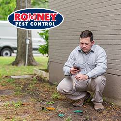 Romney Pest Control | 16920 Kuykendahl Rd, Houston, TX 77068, USA | Phone: (281) 781-7650