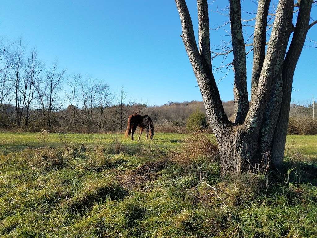 Union Mills Equestrian Trail Parking | 111-127 Kowomu Trail, Westminster, MD 21158