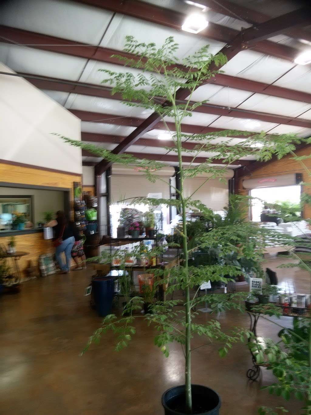 Suburban Plants | 940 La Prada Dr #900, Mesquite, TX 75150, USA | Phone: (214) 748-7438