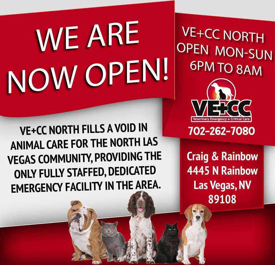 North Rainbow Veterinary Emergency Hospital | 4445 N Rainbow Blvd, Las Vegas, NV 89108, USA | Phone: (702) 262-7080