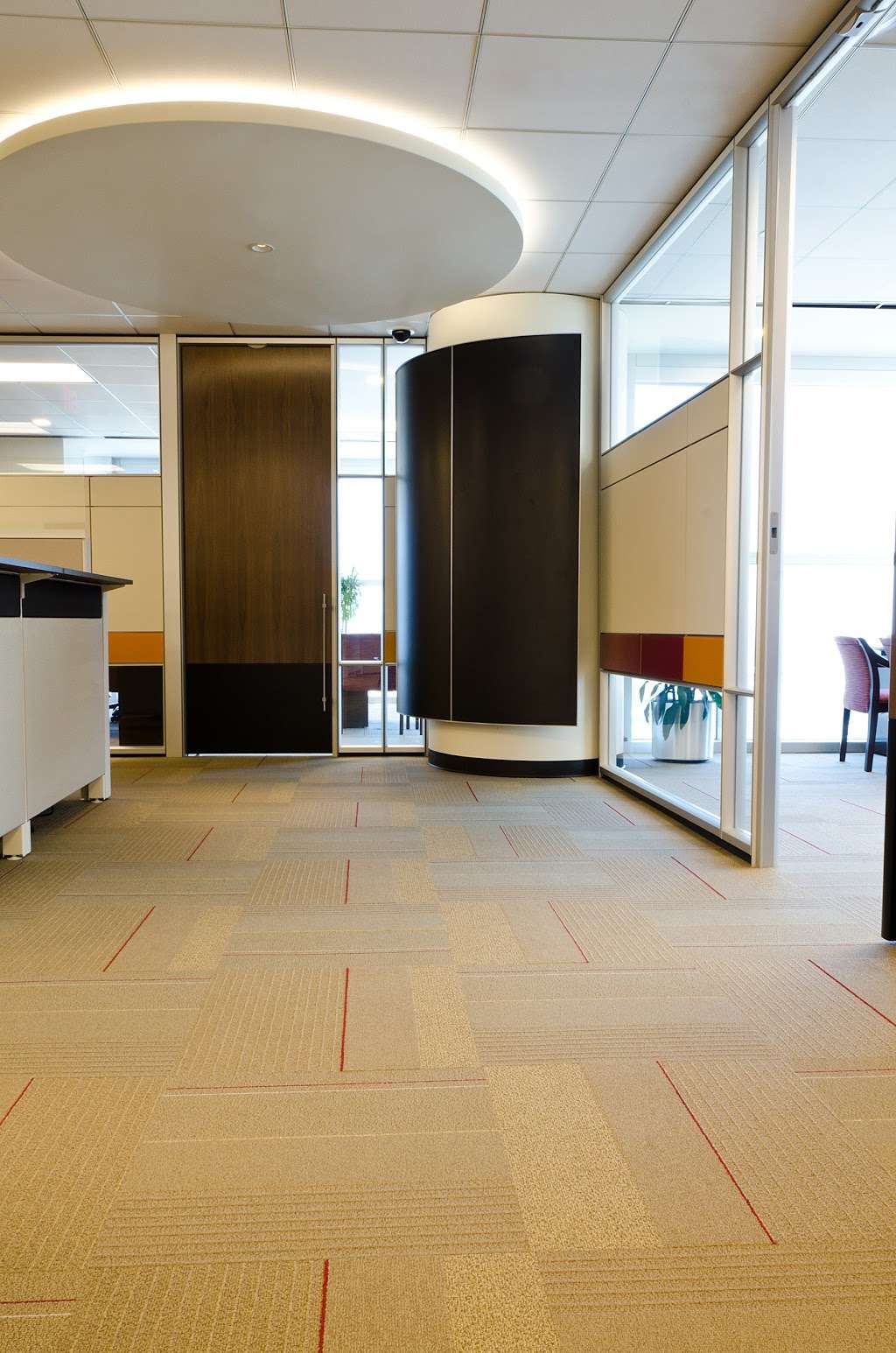 Intex Commercial Flooring | 8316 Willow Pl Dr N Building C, Houston, TX 77070, USA | Phone: (281) 397-7760