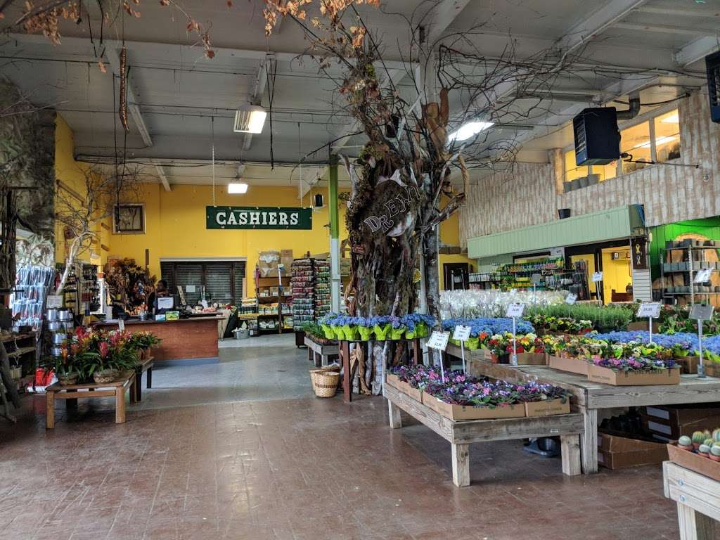 Brooklyn Plantology by Lapide | 26 Brooklyn Terminal Market, 1510, Brooklyn, NY 11236, USA | Phone: (718) 763-3665
