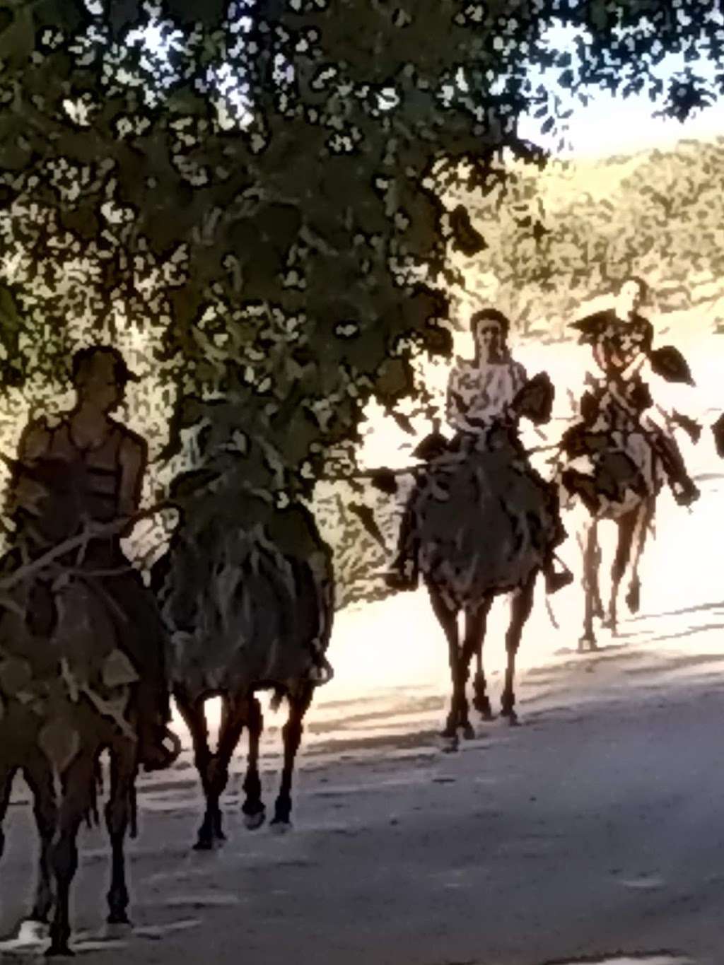 Oak Springs Ranch Riding Stables | 182 Fawnskin St, Apple Valley, CA 92308 | Phone: (760) 953-9299