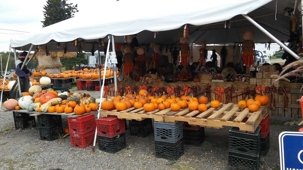 Marini Farm Stand | 259 Linebrook Rd, Ipswich, MA 01938, USA | Phone: (978) 356-0430