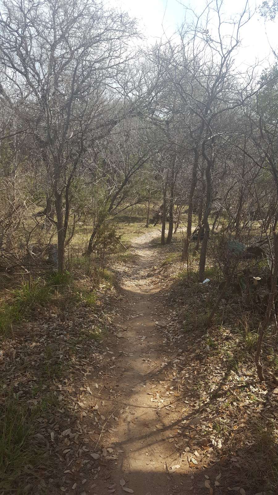 Bamberger Trailhead | 12401 Babcock Rd, San Antonio, TX 78249 | Phone: (210) 207-6000