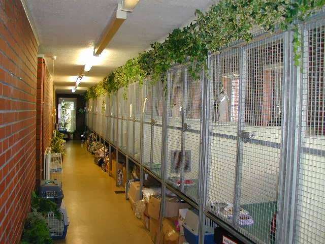 Ifield Park Cattery & Kennels | Bonnetts Lane, Ifield, Crawley RH11 0NY, UK | Phone: 01293 511832