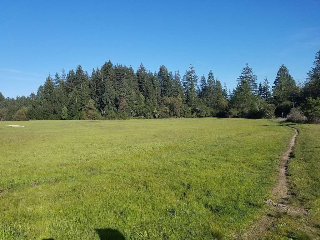 Chinquapin Trail Trailhead | 2079 Empire Grade, Santa Cruz, CA 95060, USA